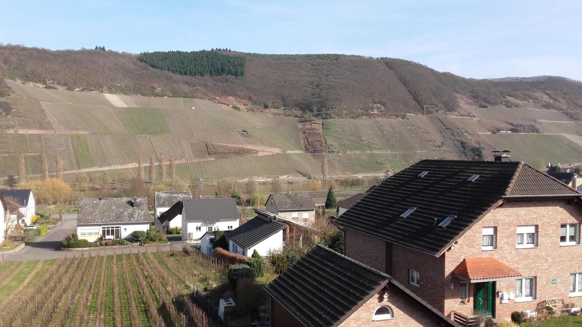 Gaestehaus Moselblick Trittenheim Exterior foto